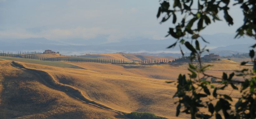 View from the garden
