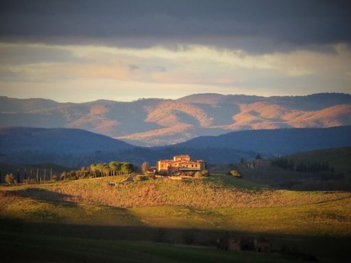 View from the garden